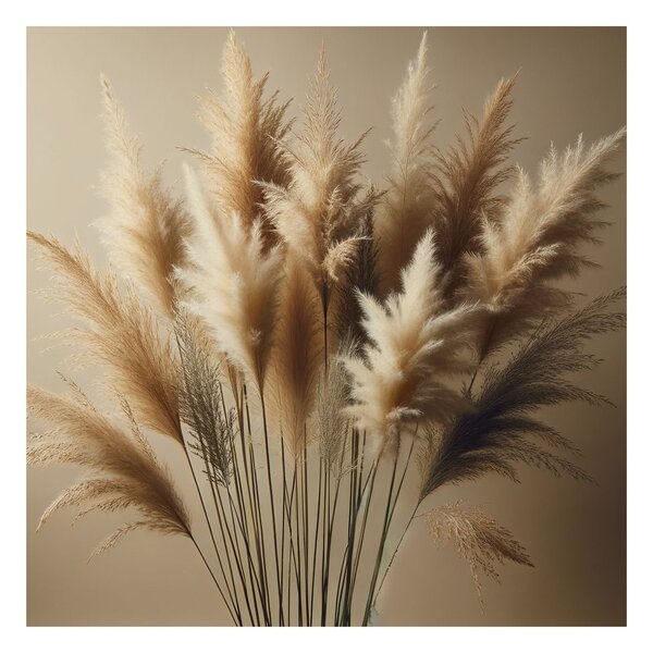 Quadro su tela – Steli delicati di erba pampas