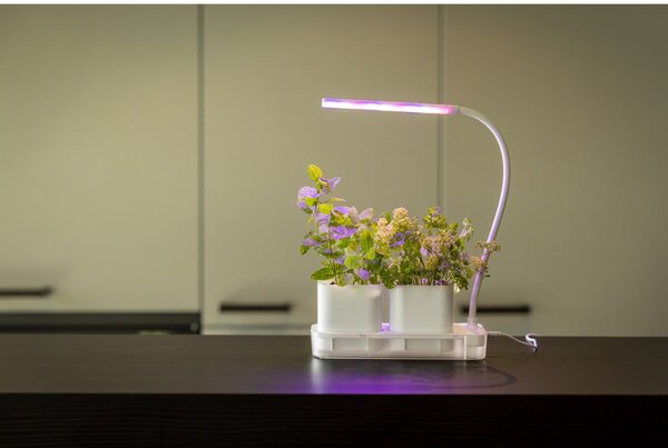 Grow room in metallo Lamp - Esschert Design