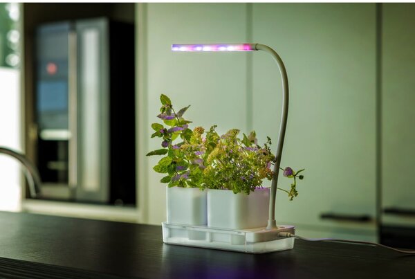 Grow room in metallo Lamp - Esschert Design