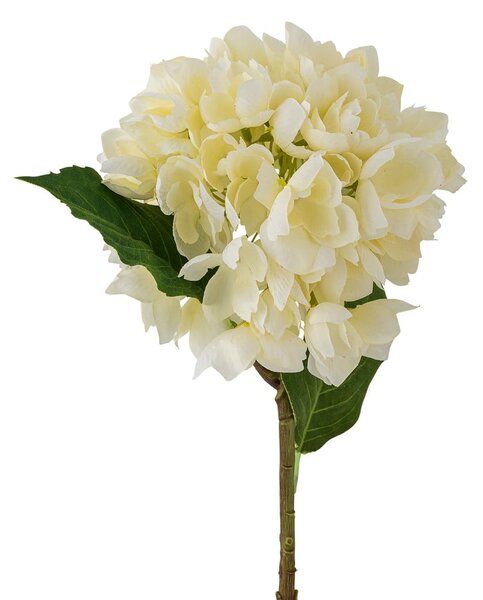 Fiore finto (altezza 56 cm) Hydrangea - Bloomingville