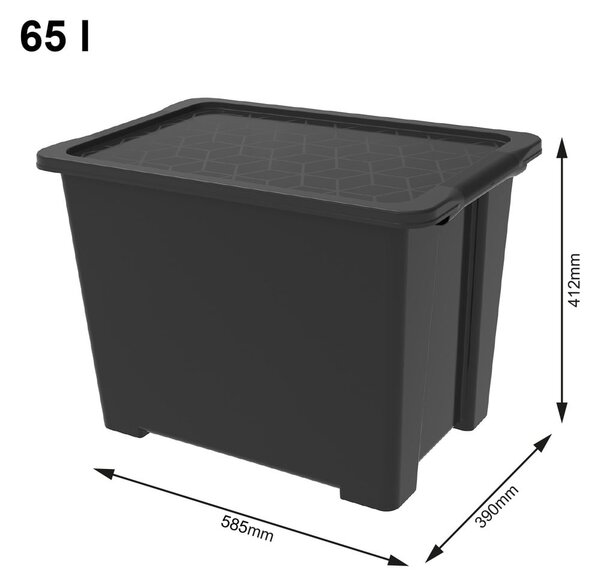 Scatola di plastica con coperchio Evo Easy - Rotho