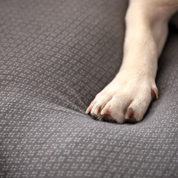 Cuccia grigio chiaro per cane 50x38 cm Graphene – Love Story