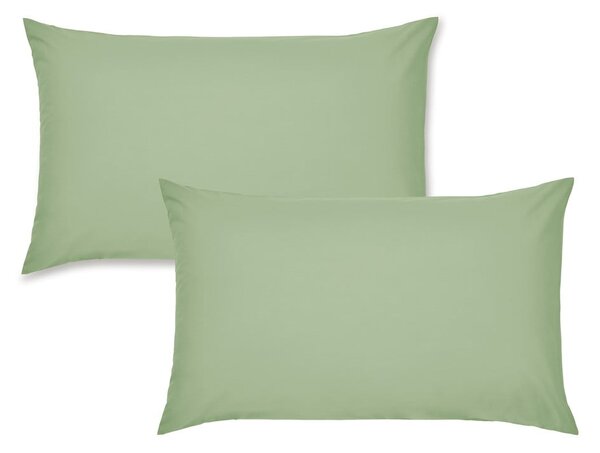 Federe per cuscino in set in percalle 2 pz 50x75 cm Easy Iron Percale – Catherine Lansfield