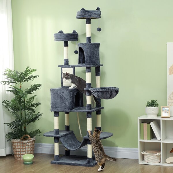 Albero per Gatti 60x50x206A cm con 4 Pali Graffiatoi Cesti Amache per 1-3 Gatti 6 kg in Peluche e Sisal Grigio Scuro