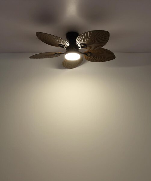 GLOBO LIGHTING Ventilatore da Soffitto con Telecomando con Luce Lampadario Ventilatore 5 Pale Diametro 107 cm colore Legno Scuro - 03672B
