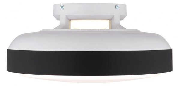 GLOBO LIGHTING Ventilatore da Soffitto con Telecomando con Luce Lampadario Ventilatore Diametro 45 cm Potenza 40 Watt - 03667S