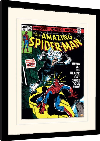 Quadro Spiderman - Black Cat, Poster Incorniciato