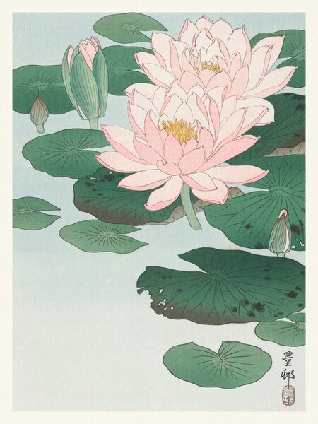 Riproduzione Water Lily, Ohara Koson