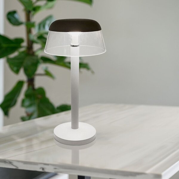 LED Lampada da tavolo touch ricaricabile e dimmerabile LED/3W/5V 3000-6000K bianco