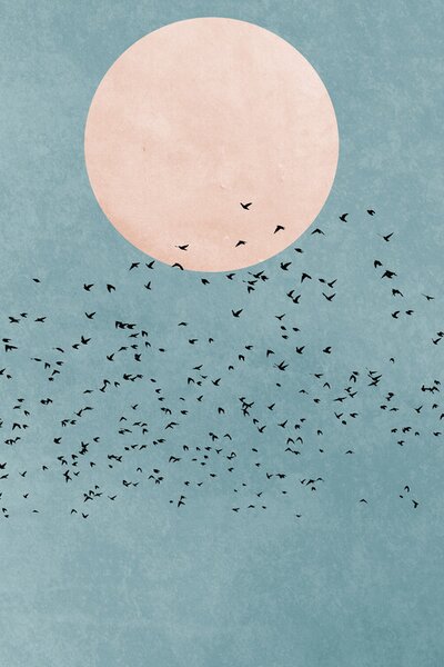 Illustrazione Fly Away, Kubistika