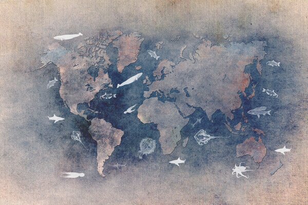 Illustrazione World map 29, Justyna Jaszke