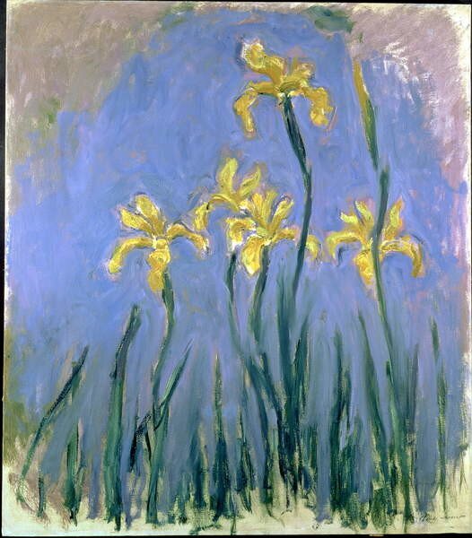 Monet, Claude - Stampa artistica Yellow Irises Les Iris Jaunes c 1918-1925, (35 x 40 cm)