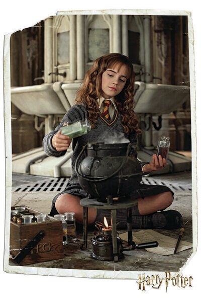 Posters, Stampe Harry Potter - Hermione Granger
