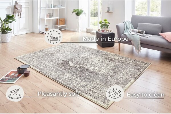Tappeto grigio e crema Celebration , 120 x 170 cm Plume - Hanse Home