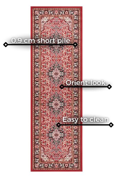 Runner rosso , 80 x 250 cm Skazar Isfahan - Nouristan