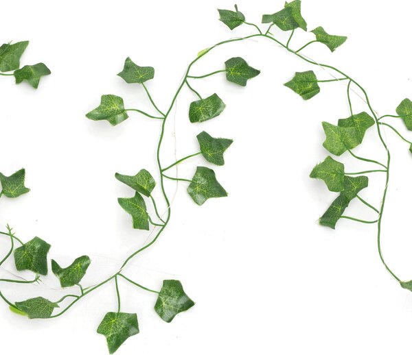 Catena decorata con foglie di edera a energia solare 50 Led 5 metri Bianco caldo Aigostar