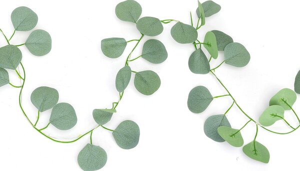 Catena decorata con foglie di eucalipto a energia solare 50 Led 5 metri Bianco caldo Aigostar