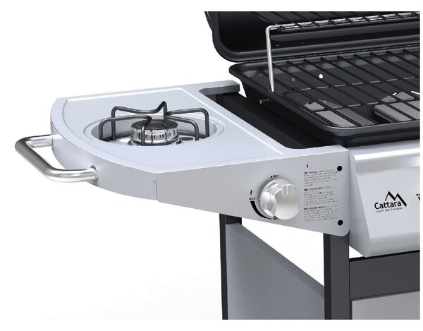 Griglia a gas Master Chef – Cattara