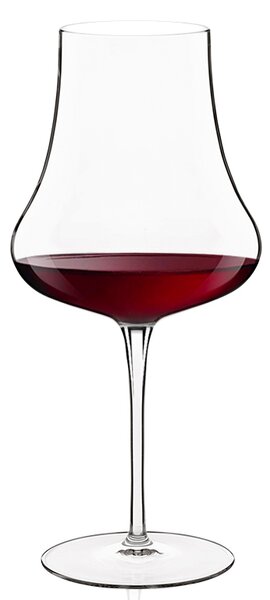 Calice dalle linee artistiche ed eleganti che enfatizza le note pregiate distintive nella degustazione di ogni vino rosso importante, strutturato e d'annata