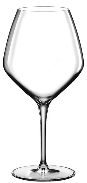 <p>Calice professionale in vetro cristallino dal design contemporaneo, particolarmente indicato per la degustazione di vini rossi corposi e vellutati.</p>