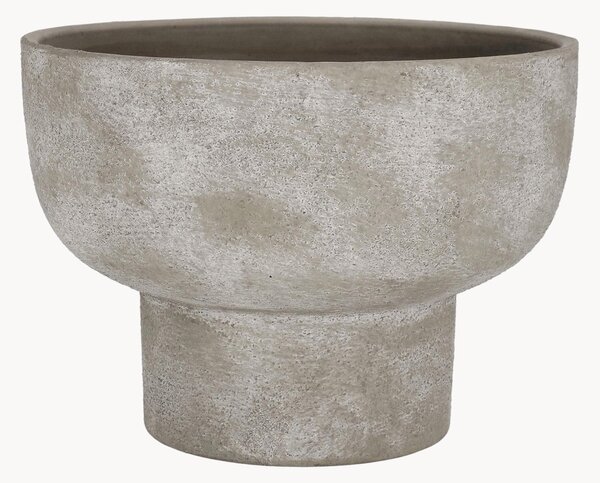 Vaso Hector