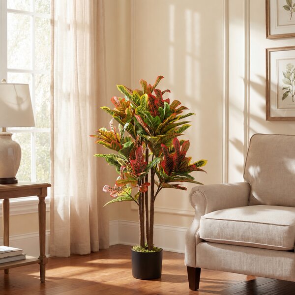 HOMCOM Pianta Artificiale di Croton Multicolore in PEVA e Legno con Vaso Contenitore in PP e Cemento, 55x55x120 cm | Aosom Italy