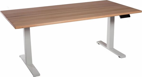 Scrivania da ufficio regolabile in altezza piano bianco in legno massiccio di faggio 160x80cm