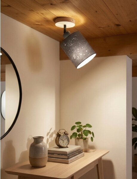 Briloner 2078-011 - Faretto da parete SPOTLIGHT 1xE27/25W/230V beige