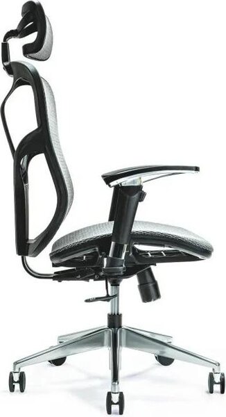 Sedia ergonomica per ufficio ERGO 500 grigio