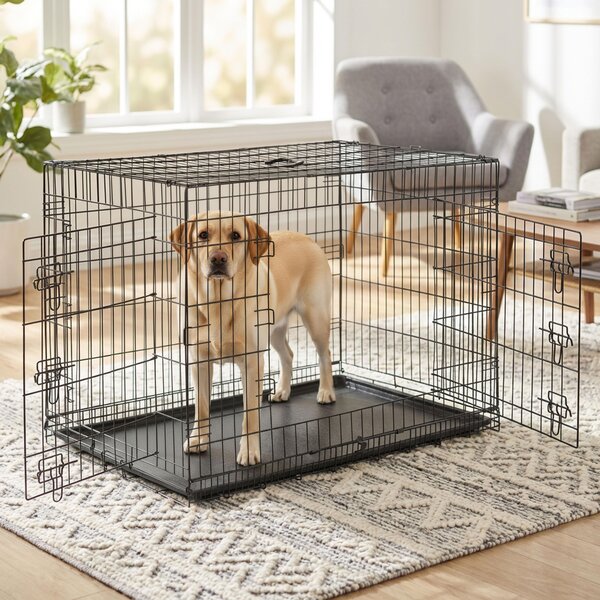 Gabbia da trasporto pieghevole Belviona con vaschetta sul fondo, gabbia sicura per cani e gatti 106x71x77 cm
