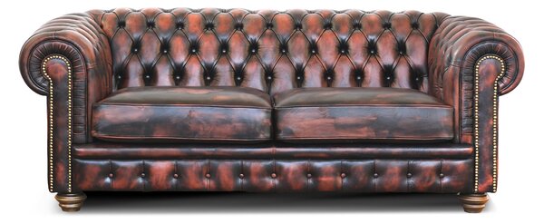 Divano Letto Chesterfield in Pelle Primo Fiore Premium con Rete e Materasso Pieghevole