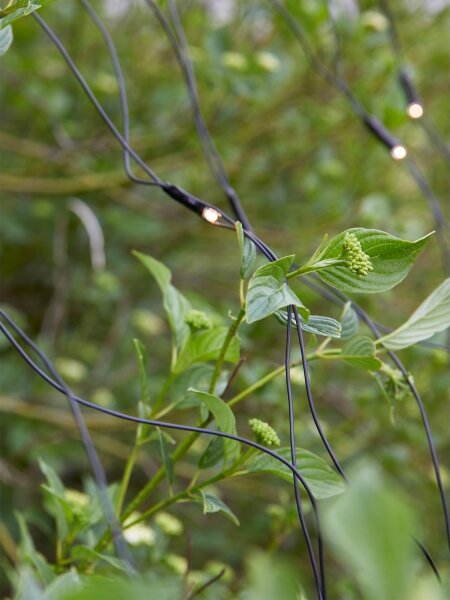 Markslöjd 108178-LED Tenda luminosa natalizia da esterno GARDEN24 160xLED/24V 2x2m bianco caldo