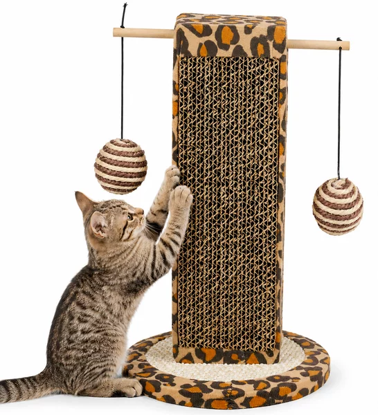 Tiragraffi per Gatti Verticale da 30 cm Graffiatoio Gioco con Palline per Felini in Cartone Ondulato Marrone