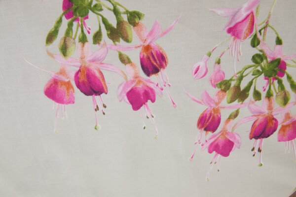Completo Lenzuola In Percalle Fuchsia Matrimoniale - 250X290 175X205 + 2 Federe 50X80 Emporium Floreale Rosa Caleffi