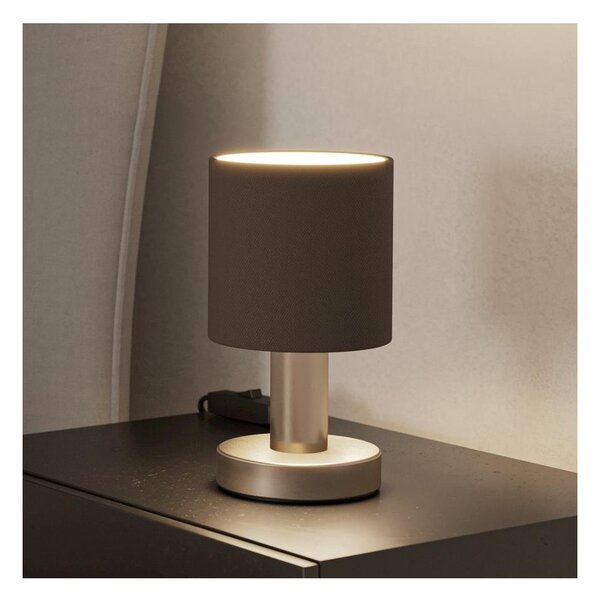 Eglo 31842 - Lampada da tavolo MONTETTO 1xE14/40W/230V marrone/cromo satinato
