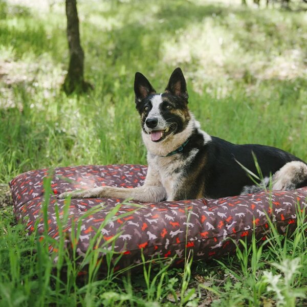 Cuccia marrone per cane 50x70 cm Outdoor Bed Mocha S – P.L.A.Y