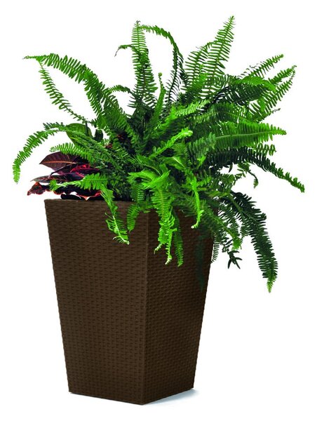Coprivaso in plastica Rattan – Keter