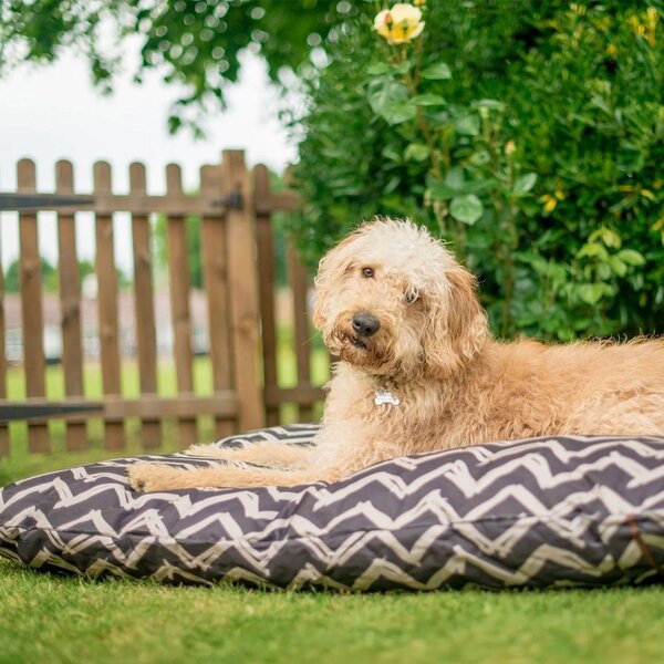 Cuccia nera per cane 50x70 cm Outdoor Bed Barn Raven Black S – P.L.A.Y