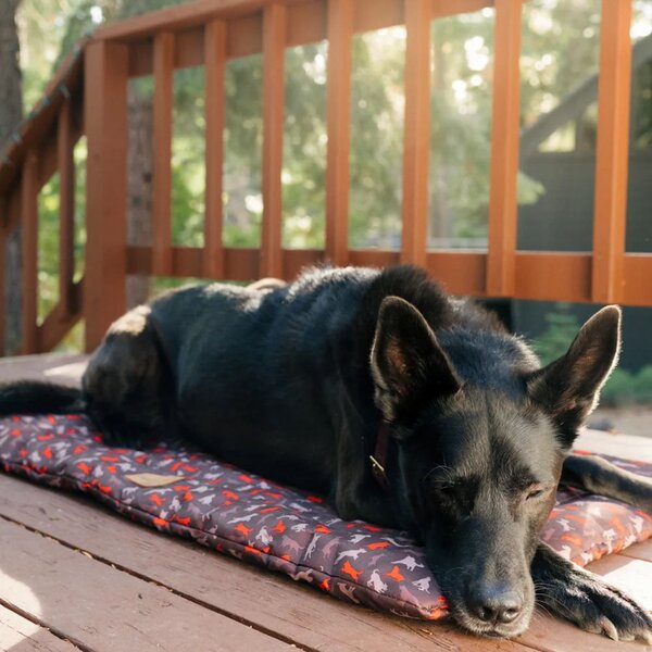 Cuccia da viaggio marrone per cane 45x60 cm Outdoor Chill Pad Mocha S – P.L.A.Y