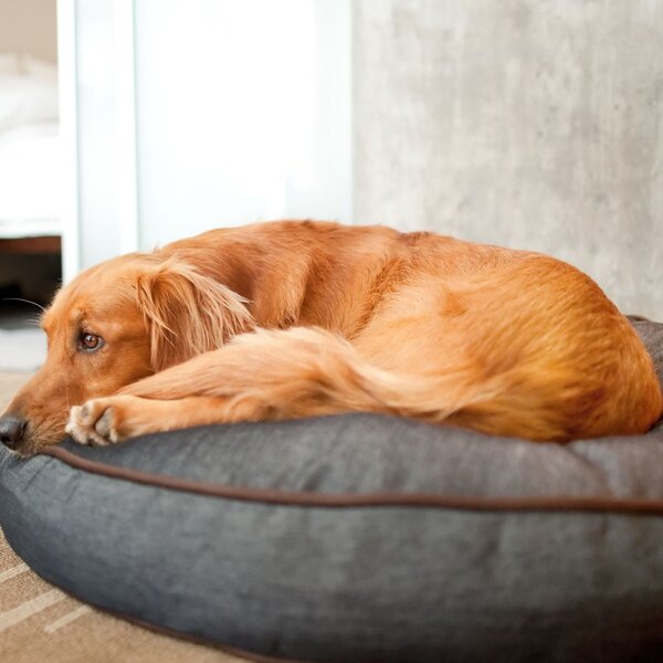 Cuccia in blu scuro per cane ø 70 cm Round Bed Denim Medieval Blue / Dark Chocolate S – P.L.A.Y