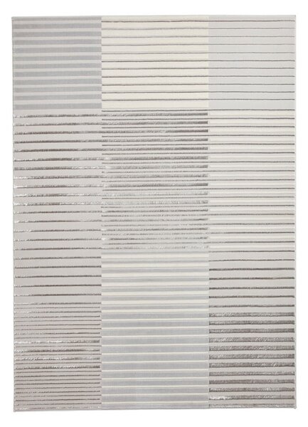 Tappeto grigio/beige 220x160 cm Apollo - Think Rugs