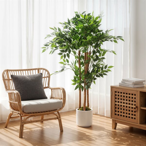 HOMCOM Pianta Artificiale di Baniano Verde in PEVA e Legno con Vaso Contenitore in PP e Cemento, 55x55x120 cm | Aosom Italy