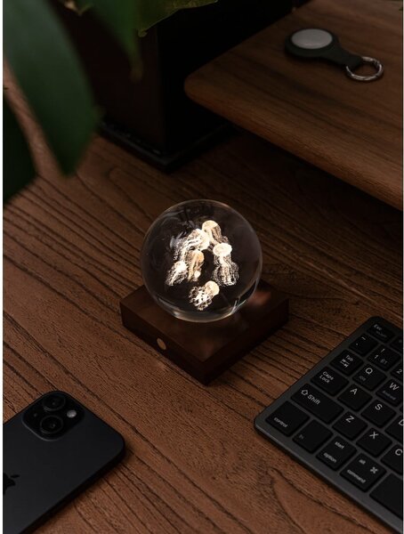 Decorazione luminosa marrone scuro con ricarica USB Amber – Gingko