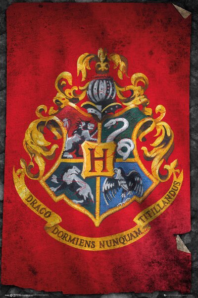 Posters, Stampe Harry Potter - Hogwarts