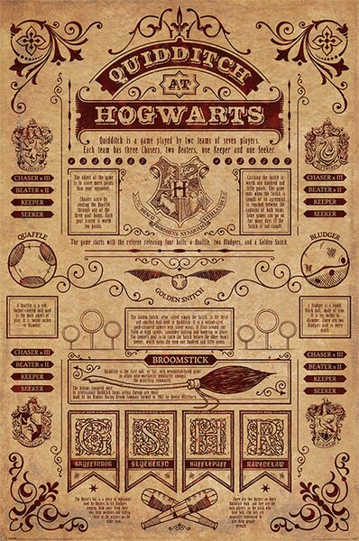 Posters, Stampe Harry Potter - Quidditch, (61 x 91.5 cm)