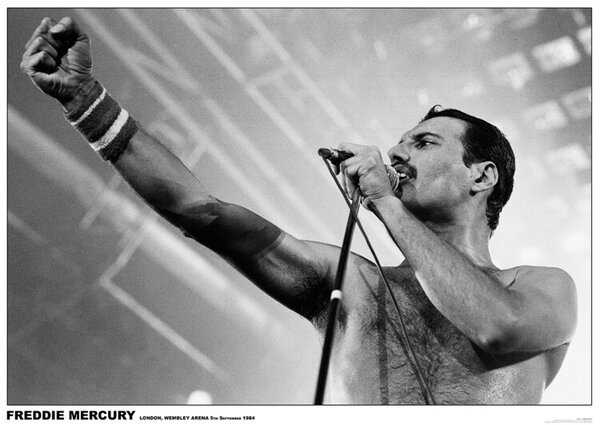 Posters, Stampe Freddie Mercury - Wembley 1984, (84.1 x 59.4 cm)