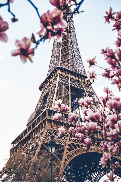 Posters, Stampe Parigi - La torre Eiffel