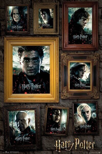 Posters, Stampe Harry Potter - Ritratto, (61 x 91.5 cm)