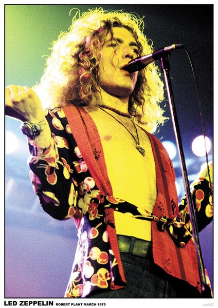 Posters, Stampe Led Zppelin - Robert Plant