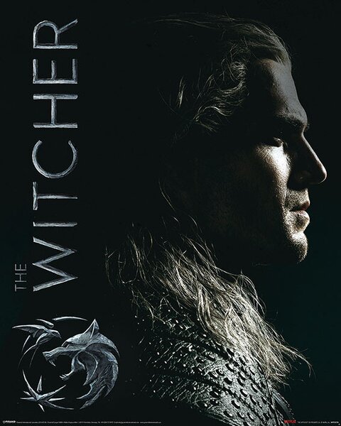 Posters, Stampe The Witcher - Shadows Embrace
